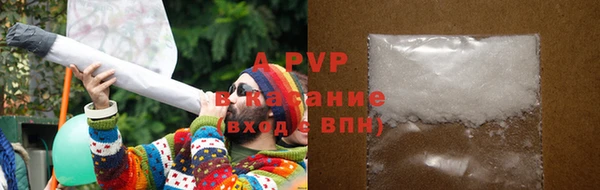 сатива Иннополис