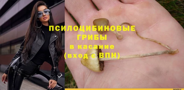 дживик Инсар