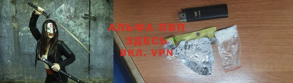 сатива Иннополис