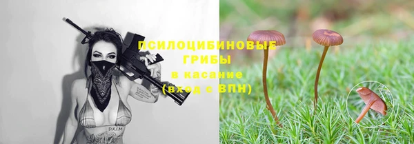 сатива Иннополис
