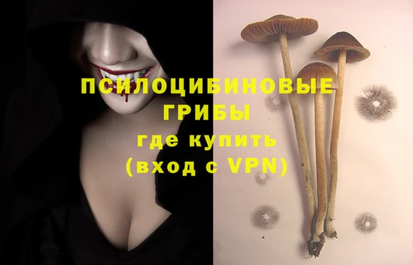 сатива Иннополис