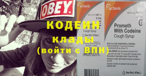 сатива Иннополис