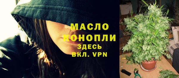 сатива Иннополис