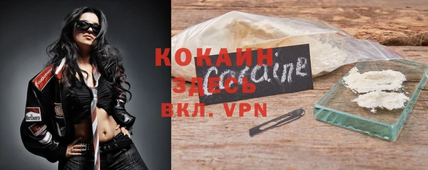 дживик Инсар