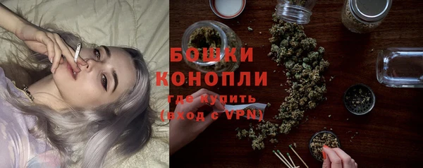 сатива Иннополис