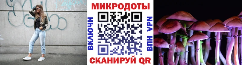 Купить закладки  Ворсма  Галлюциногенные грибы Cubensis 